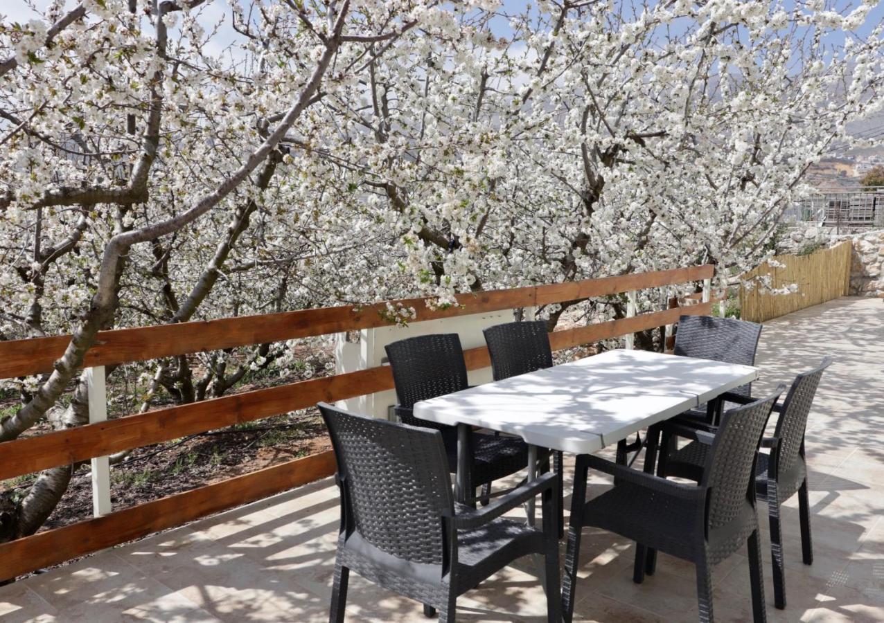 Oriental Nature Majdal Shams Exterior foto
